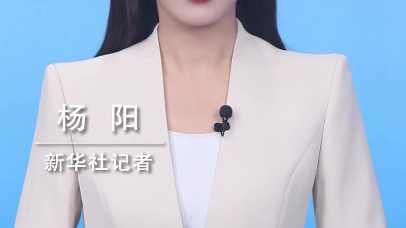 云服务器包年包月：价格背后的考量因素